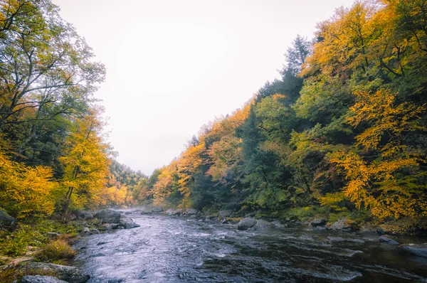 Fall listí v Nové Anglii — Stock fotografie