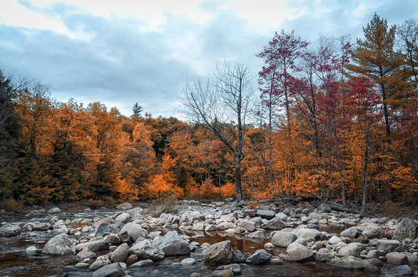 Fall listí v Nové Anglii — Stock fotografie