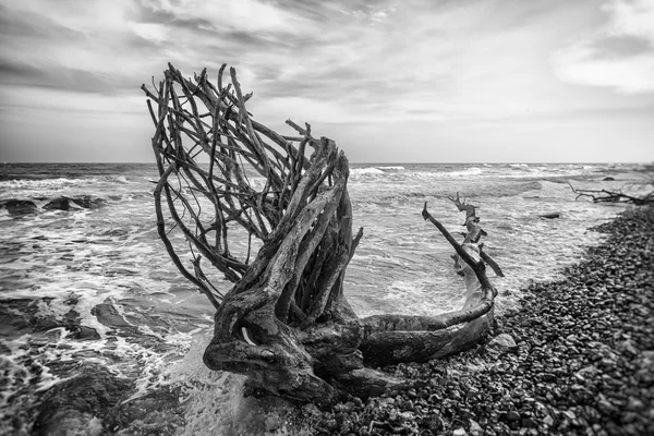 Parque Nacional Jasmund — Foto de Stock