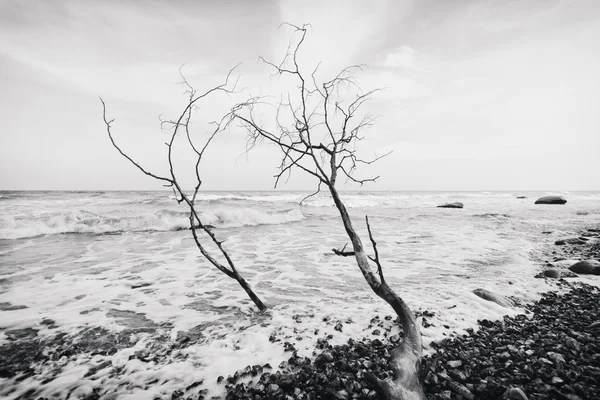 Parque Nacional Jasmund — Foto de Stock