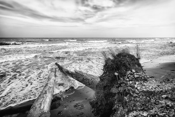 Parque Nacional Jasmund — Foto de Stock