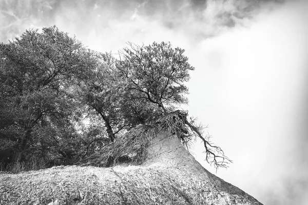 Jasmund Ulusal Parkı — Stok fotoğraf