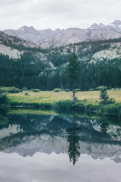 Krajina v horách Sierra Nevada — Stock fotografie