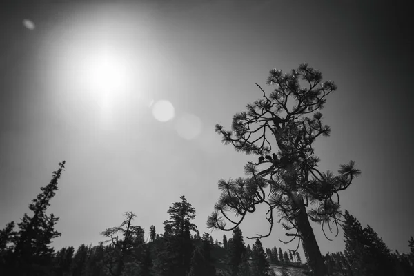 Paisaje en las montañas de Sierra Nevada —  Fotos de Stock