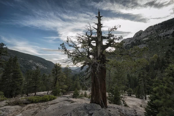 Landscape in the Sierra Nevada Mountains — Stock Photo, Image