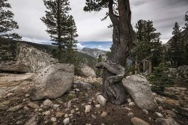 Landschaft in den Sierra Nevada Bergen — Stockfoto
