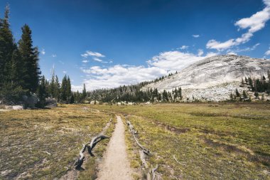 Sierra Nevada dağlarında iz hiking