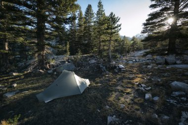 Sierra Nevada dağda kamp 