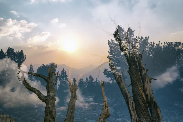 Paisaje en Sierra Nevada, doble exposición —  Fotos de Stock