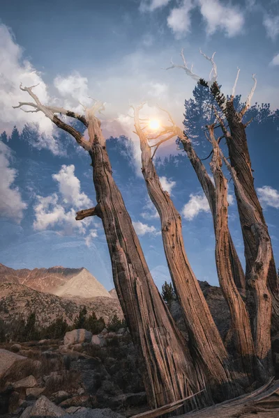 Landschaft in der Sierra Nevada, doppelt exponiert — Stockfoto