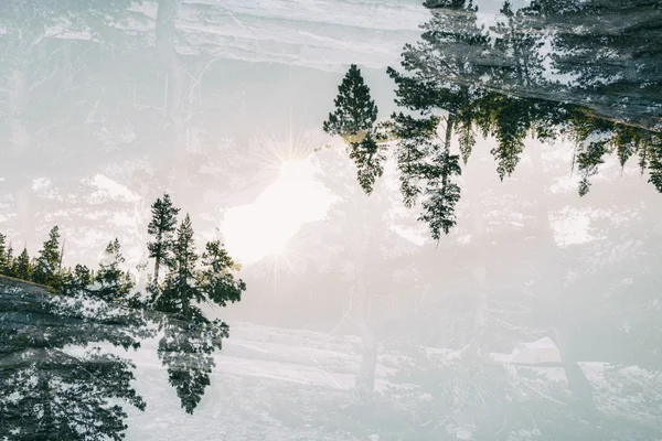 Landschaft in der Sierra Nevada, doppelt exponiert — Stockfoto