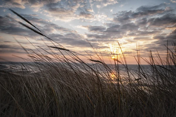 Strand auf einer Insel — Stockfoto