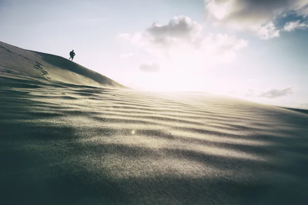 День у дюнах — стокове фото