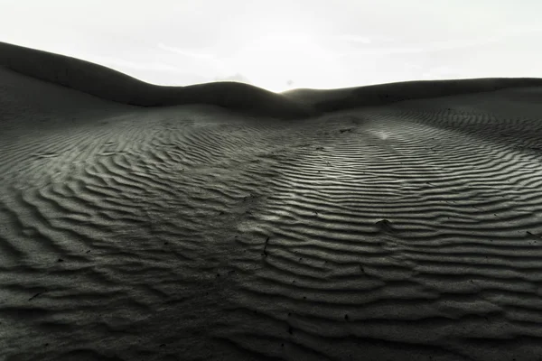 沙丘中的一天 — 图库照片