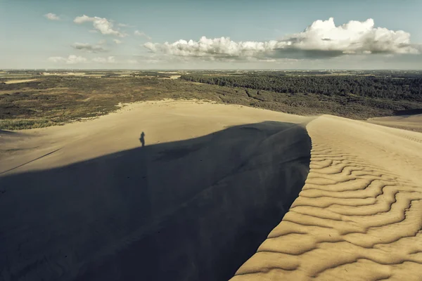 Día en las dunas — Foto de Stock