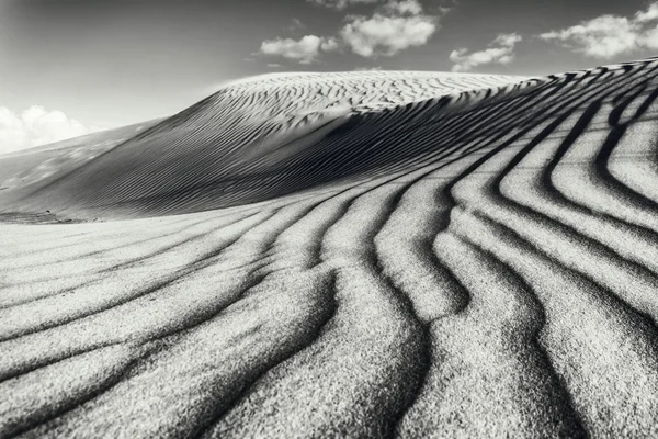 Day in the dunes — Stock Photo, Image