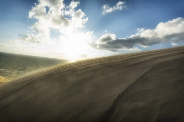 Dag in de duinen — Stockfoto