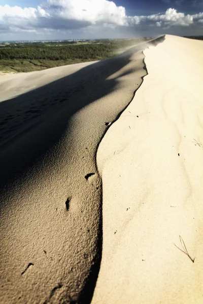 Día en las dunas — Foto de Stock