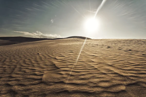 Dia nas dunas — Fotografia de Stock