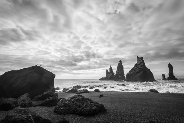 Küstenlandschaft in Island — Stockfoto