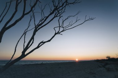 Rhode Island deniz manzarası