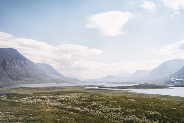 Paysage en Laponie, Suède — Photo