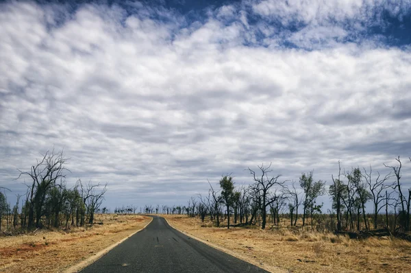 Camino en Australia — Foto de Stock
