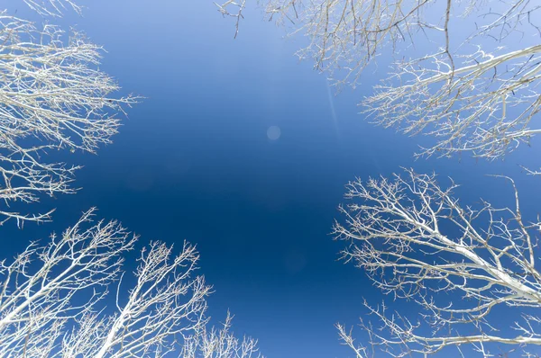 Landskap i utah — Stockfoto