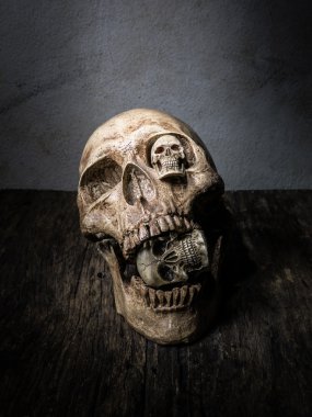 Kafatasının arka yüz.