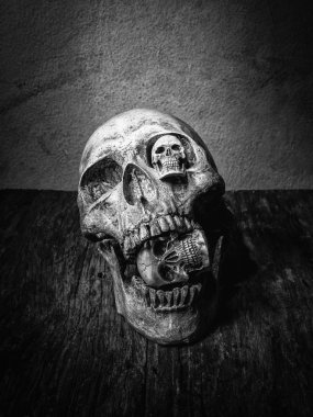 Kafatasının arka yüz.