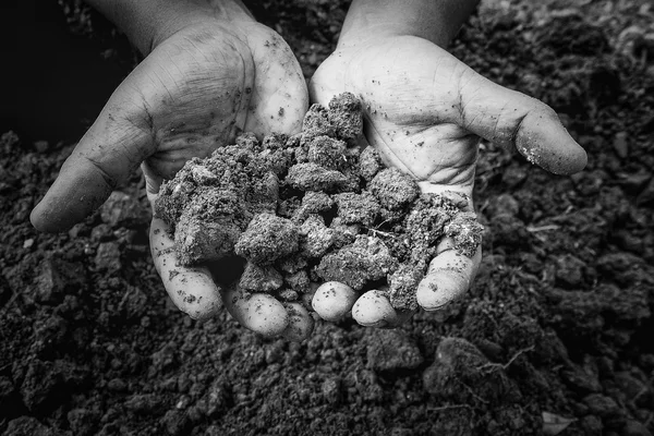 人間の手の保有物、一生懸命プール土. — ストック写真