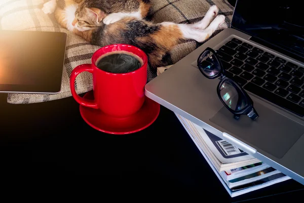 Soft image sleeping baby cats and red cup coffee with  laptop an