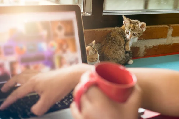 Miękki obraz dziecka koty z mężczyzna pracujący na laptopa i piciem kawy — Zdjęcie stockowe