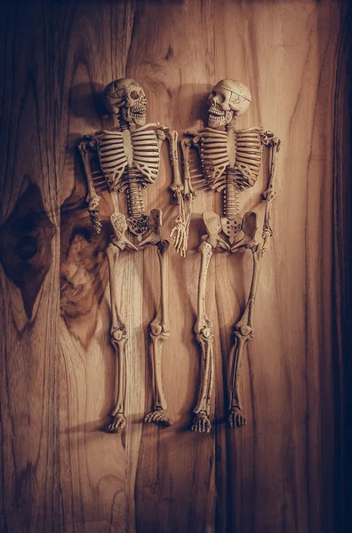 Esqueleto cogido de la mano para el amor eterno. Enfoque selectivo en la mano —  Fotos de Stock