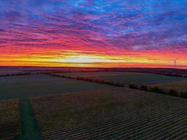 Üzüm bağının üzerinde Altın Gün Batımı ve Rüzgar Türbinli Çiftlik Alanı