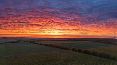Üzüm bağı ve Rüzgar Türbini Sunset 'te Dramatik Bulutlu Gökyüzü Altında