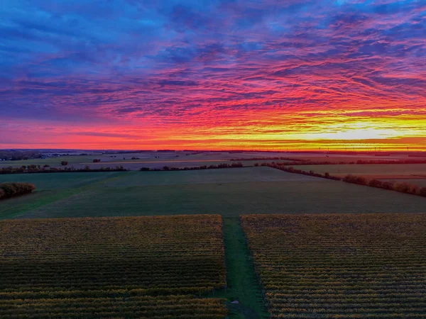 Canlı Günbatımı altında Üzüm bağları ve Kırsal Arazi