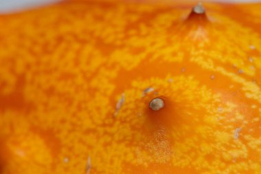 Kiwano Meyve Teni Dokusunun Makro Kapanışı