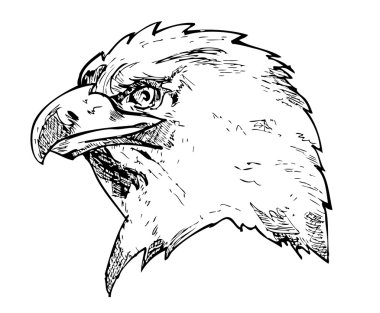 Kartal başını kalem kullanma