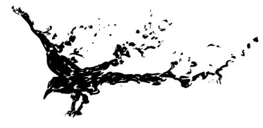 Mürekkep sıçramak kuzgun