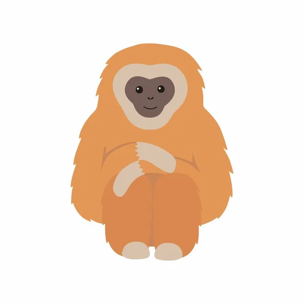 Gibbon primat memelisi. Beyaz arkaplanda izole edilmiş maymun. — Stok Vektör
