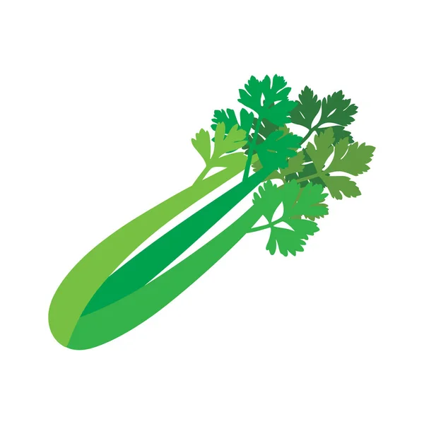 自然有機セラリー、健康的なカラフルな食品野菜スパイス成分. — ストックベクタ