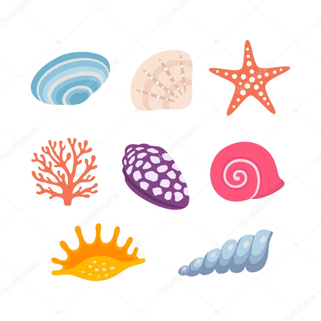 Colorful tropical shells underwater icon set. Vector illustration.