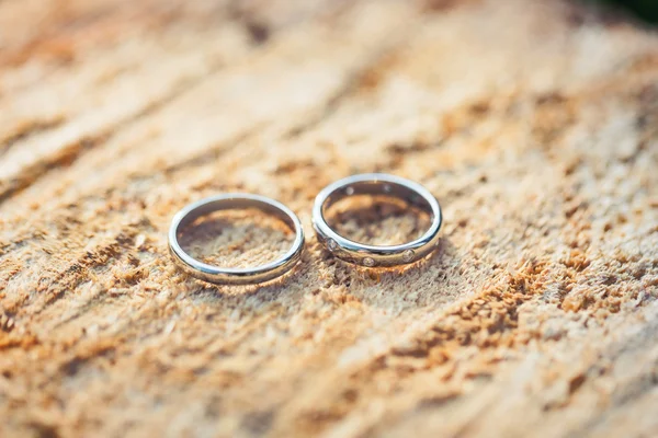 Wedding rings macro — Stock Photo, Image