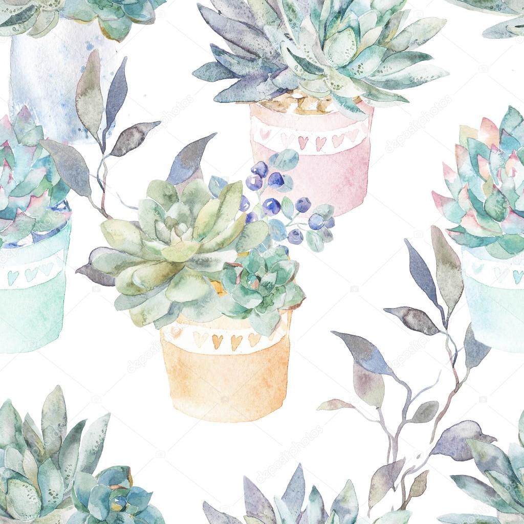 Floral seamless pattern.Succulents in pots.