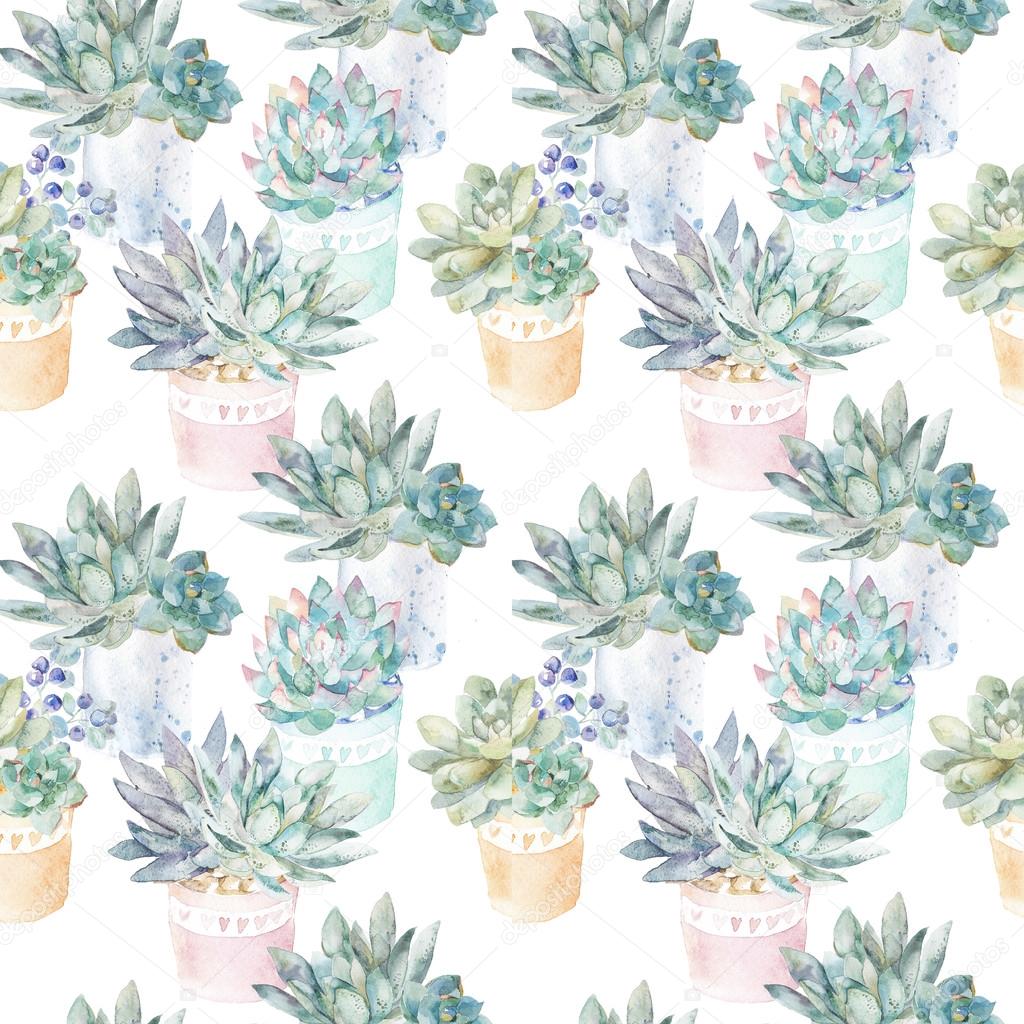 Floral seamless pattern.Succulents in pots.