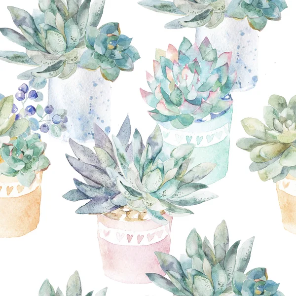 Floral seamless pattern.Succulents in pots. — Stock Photo, Image