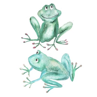 Kurbağa. Suluboya yalıtılmış nesne.