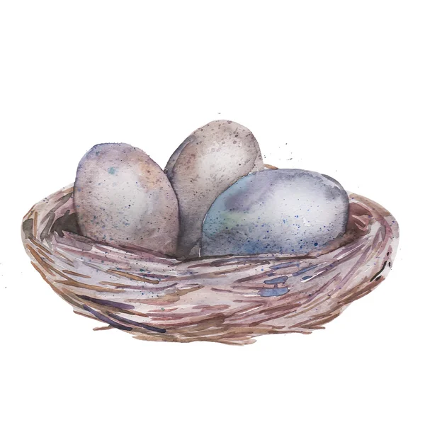 Nest with eggs. Watercolor isolated object. — Stock Photo, Image