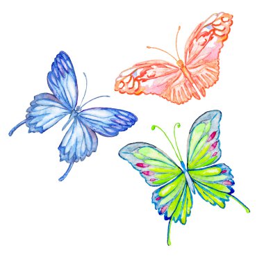 Kelebek. Suluboya yalıtılmış nesne.